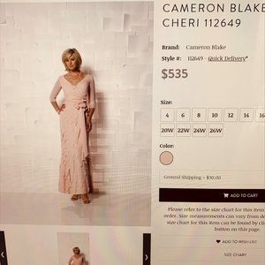 NWT GORGEOUS DESIGNER CAMERON BLAKE CHERI MOTHER OF BRIDE DRESS